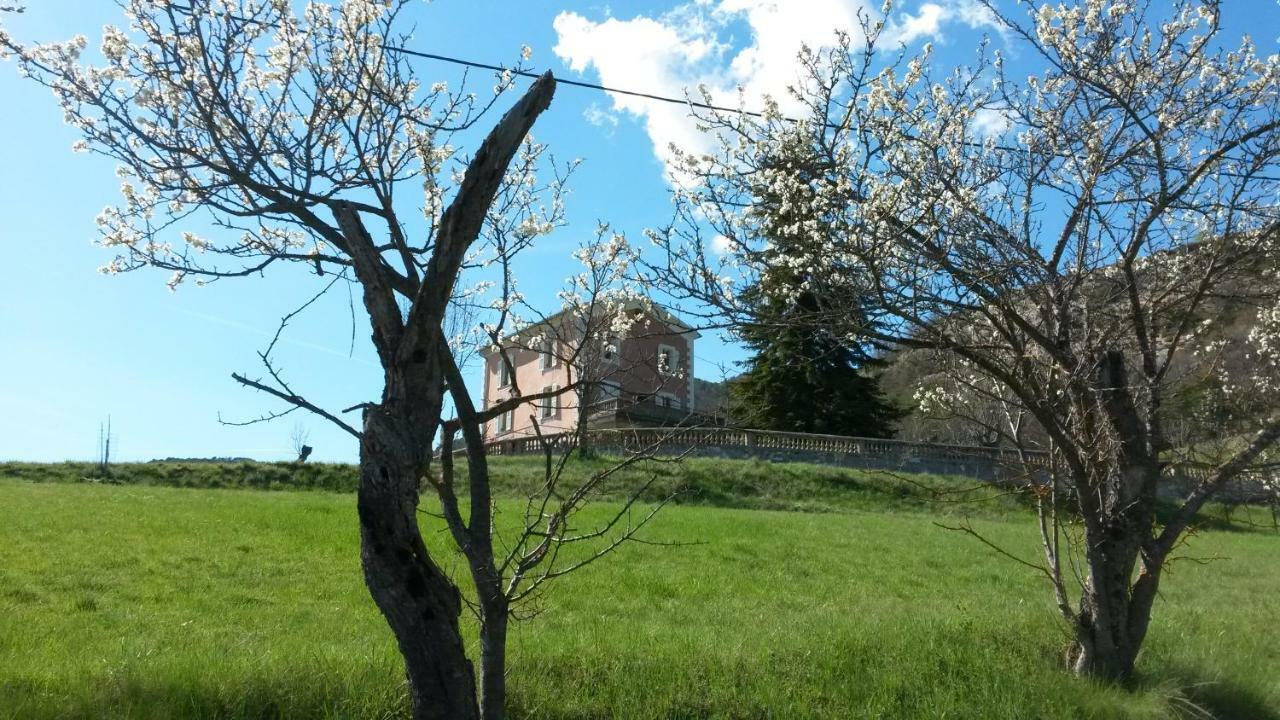 La Villa Du Collet La Penne Εξωτερικό φωτογραφία
